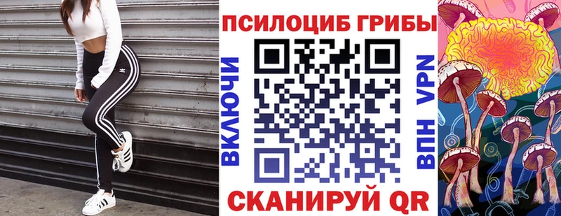 Псилоцибиновые грибы MAGIC MUSHROOMS Поронайск